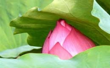 Biết tiếp xúc với hạnh phúc